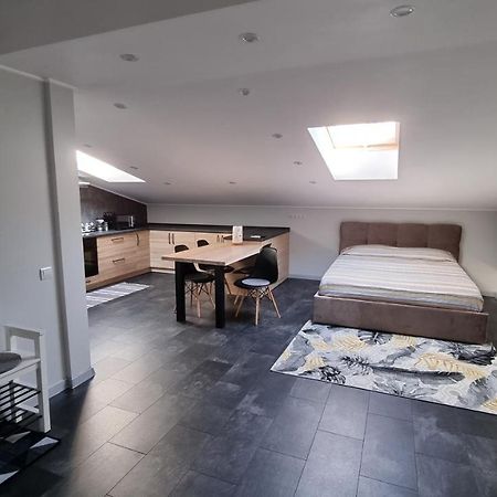 Apartament Mansarda Kamieniec Podolski Zewnętrze zdjęcie