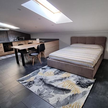 Apartament Mansarda Kamieniec Podolski Zewnętrze zdjęcie