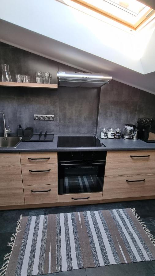 Apartament Mansarda Kamieniec Podolski Zewnętrze zdjęcie