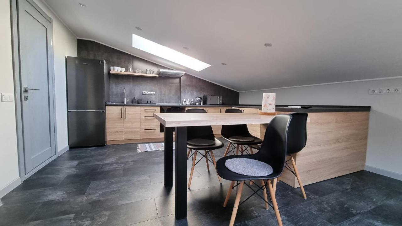 Apartament Mansarda Kamieniec Podolski Zewnętrze zdjęcie
