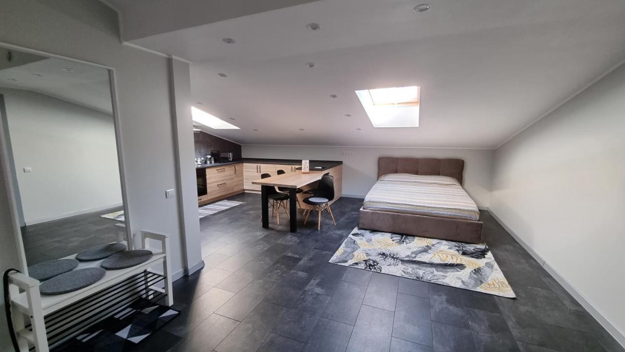 Apartament Mansarda Kamieniec Podolski Zewnętrze zdjęcie