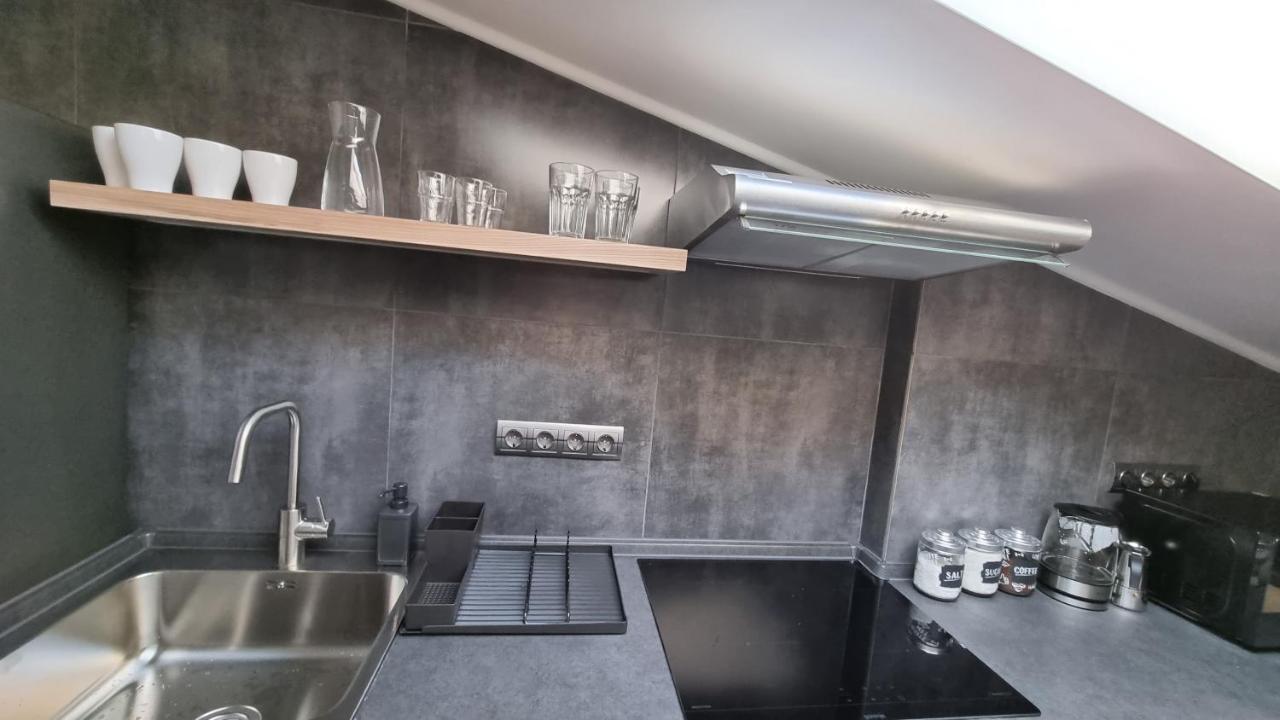 Apartament Mansarda Kamieniec Podolski Zewnętrze zdjęcie