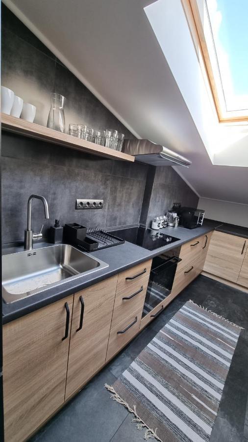 Apartament Mansarda Kamieniec Podolski Zewnętrze zdjęcie