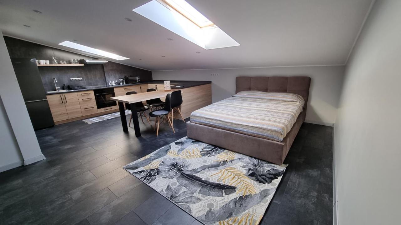 Apartament Mansarda Kamieniec Podolski Zewnętrze zdjęcie